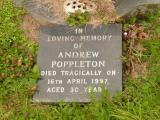 image of grave number 809054